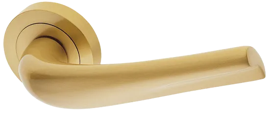 RAFT R2 OSA, ручка дверная, цвет - матовое золото фото купить Самара