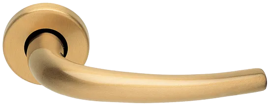 LILLA R3-E OSA, ручка дверная, цвет - матовое золото фото купить Самара