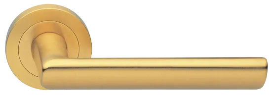 STELLA R2 OSA, ручка дверная, цвет - матовое золото фото купить Самара