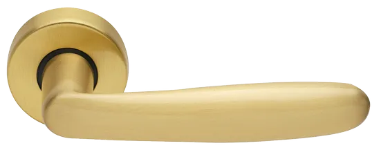 IMOLA R3-E OSA, ручка дверная, цвет - матовое золото фото купить Самара